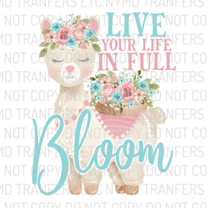 Live Your Life In Full Bloom Llama Floral Ready To Press Sublimation Transfer