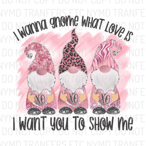 I Wanna Gnome What Love Is Ready To Press Sublimation Transfer